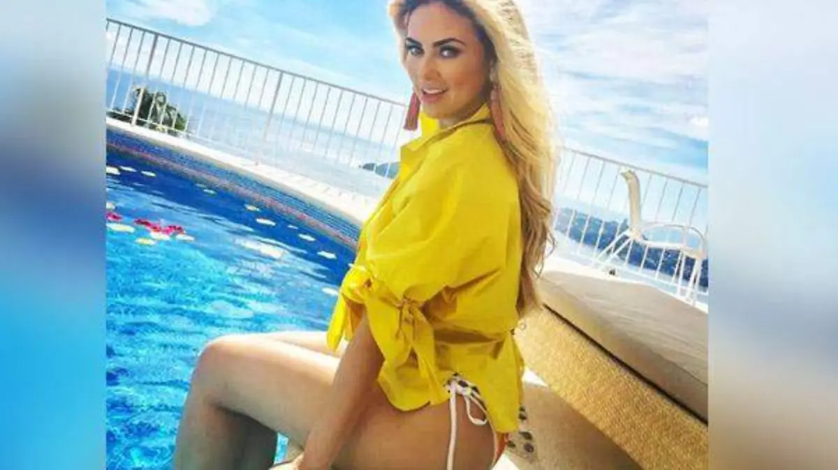 aracely arambula, la cocinera más sexy